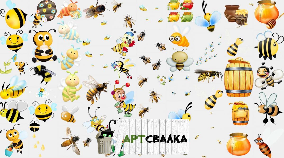 Пчелы и мед PNG | Bees and honey PNG